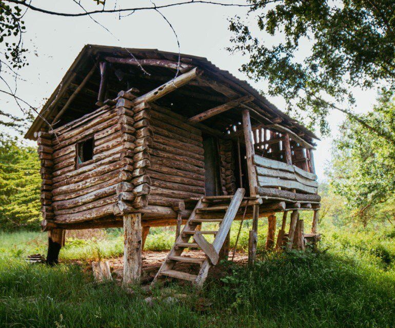 Фото Самурский лес весной