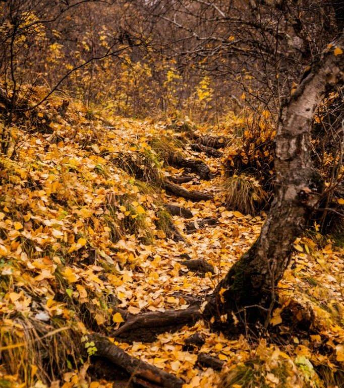 Фото Осень в Лакии
