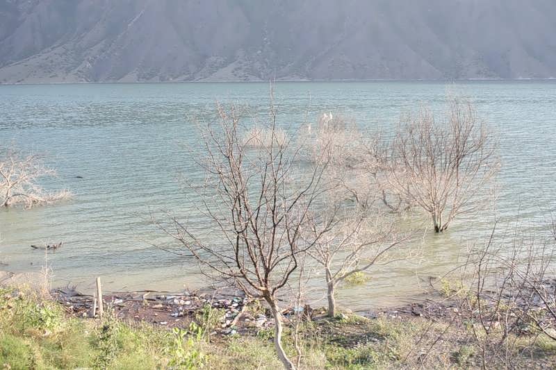 Ирганайское водохранилище, затопленные сады